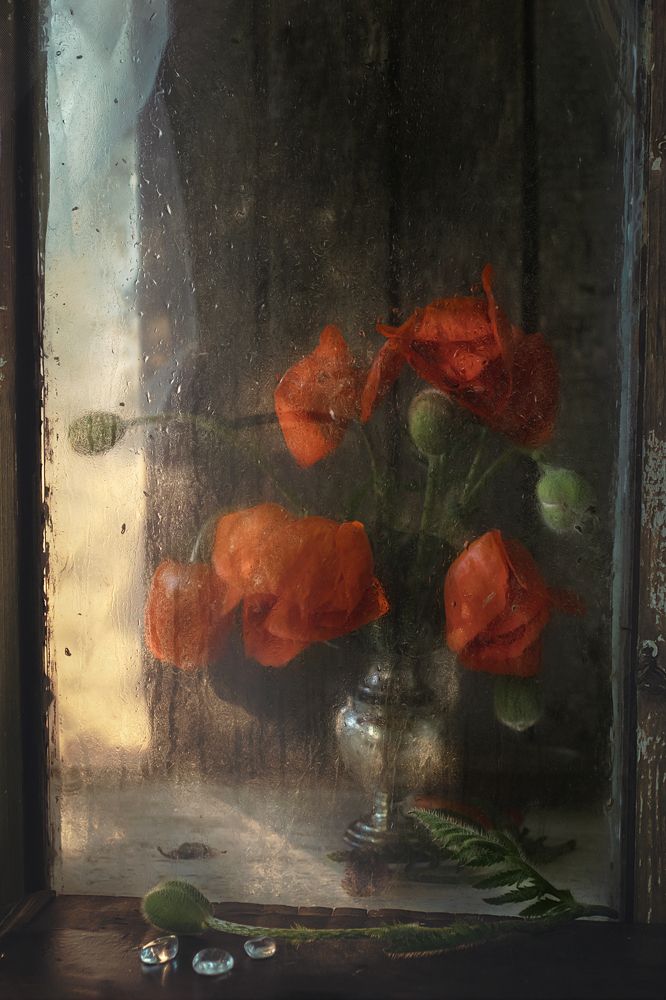 Photograph by Natalia Ricci