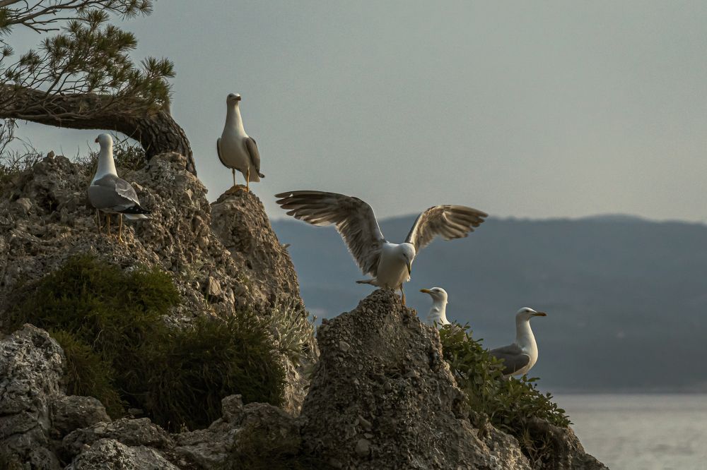 Photograph by Valdis Serzhans