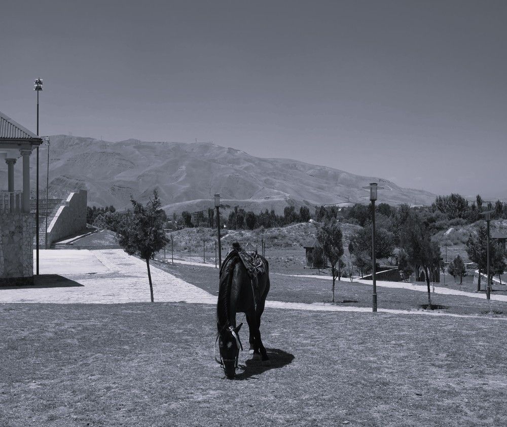 Photograph by Anna Yolshina