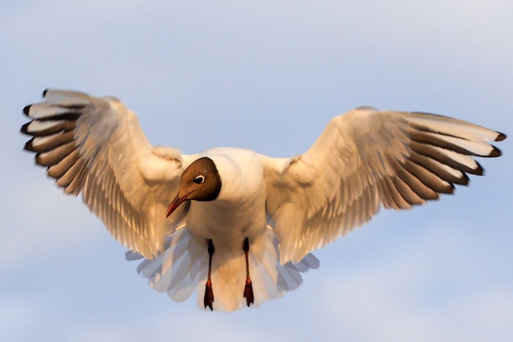 Photograph by Chic.chiquitita