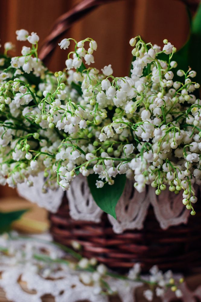 Ландышевый