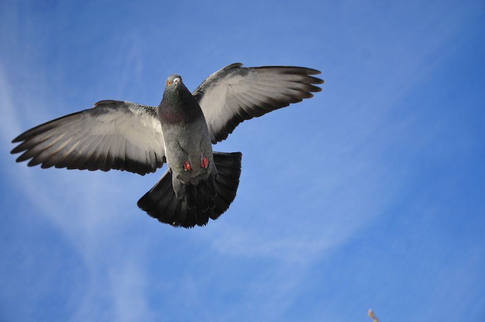 Photograph by Константин