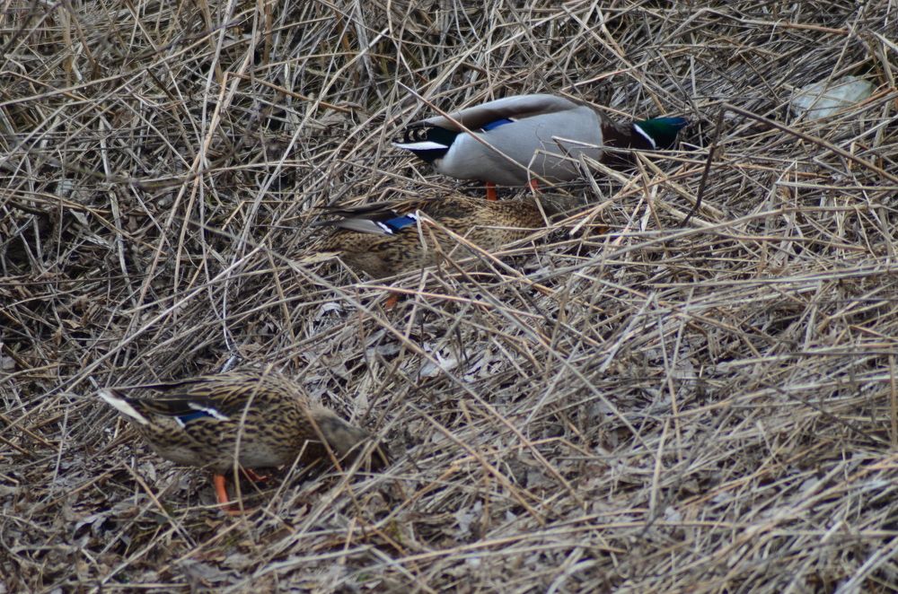 Photograph by Константин