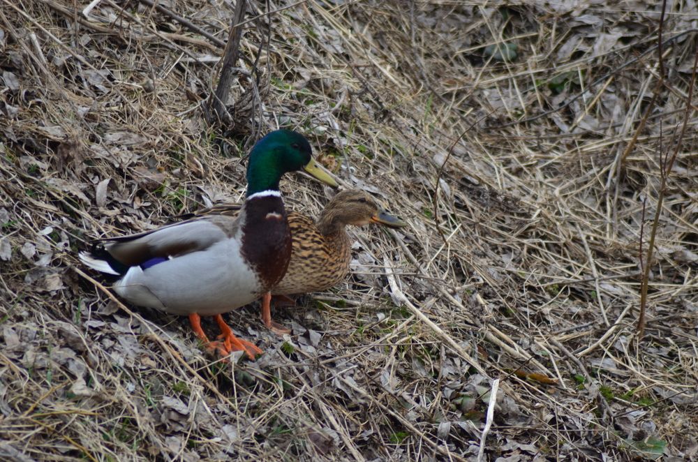 Photograph by Константин