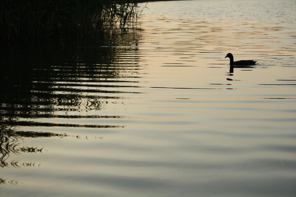 Photograph by Viktoriia Emelianova