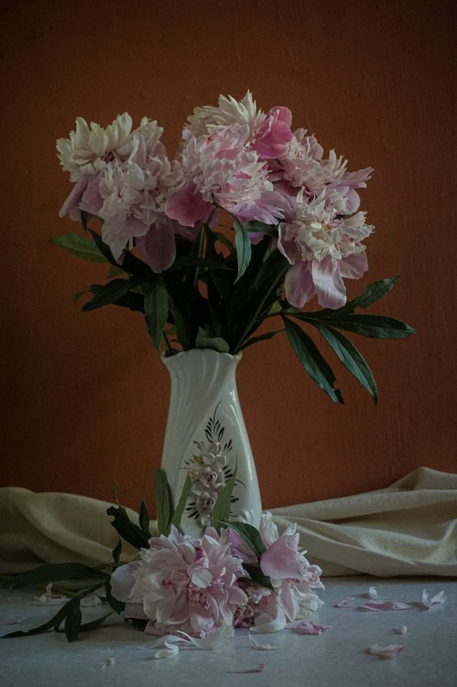 Photograph by Екатерина Савенкова