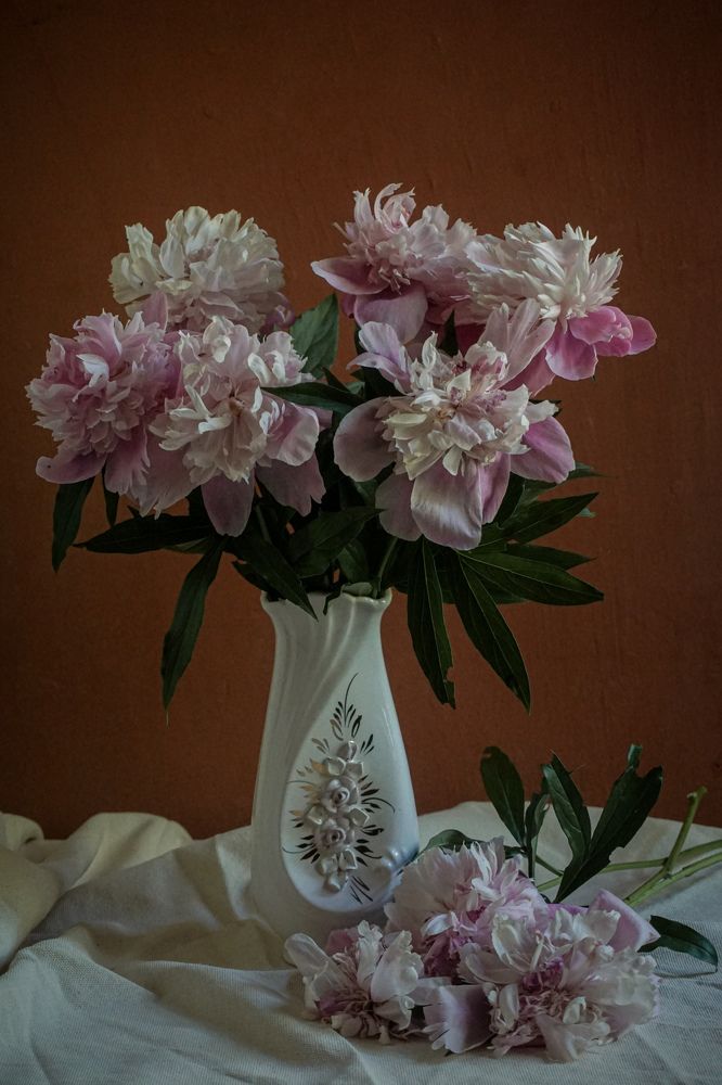 Photograph by Екатерина Савенкова