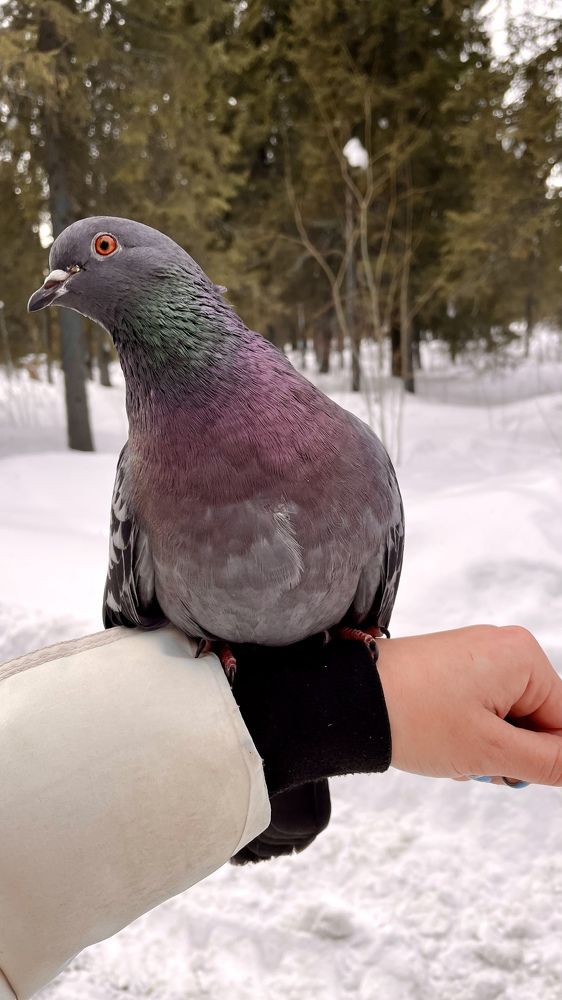 Photograph by Alina Andreevna