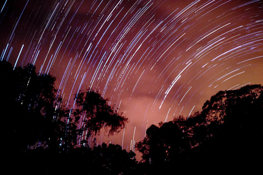 Photograph by André Lobo