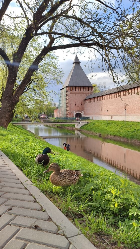 Photograph by Вахромова Елена