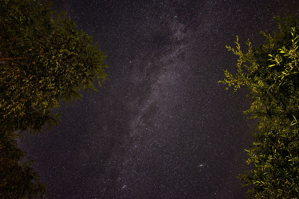 Фотография автора Игорь Игоревич