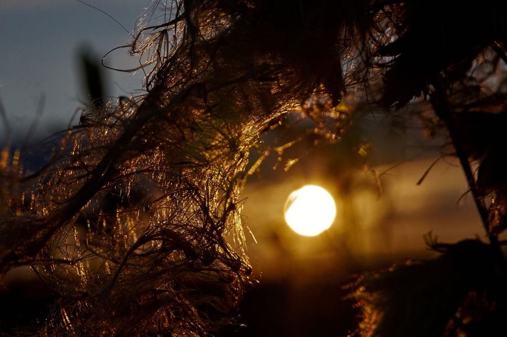 Фотография автора Игорь Игоревич