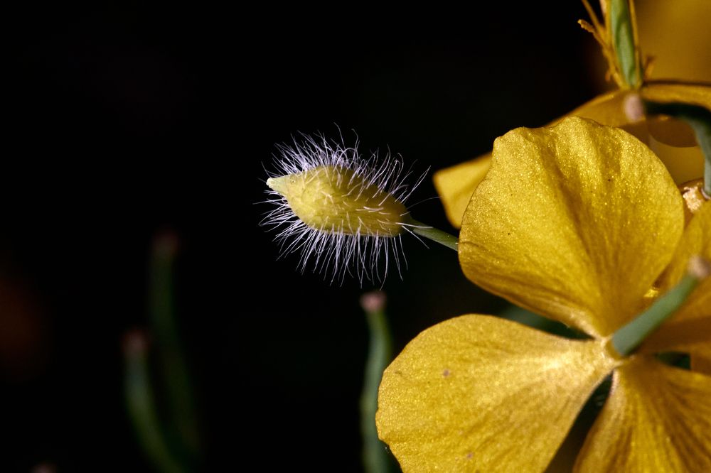 Фотография автора Игорь Игоревич