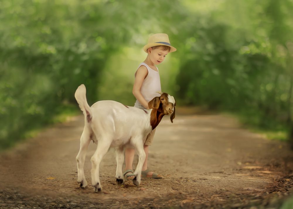 Photograph by Adi Kronkop