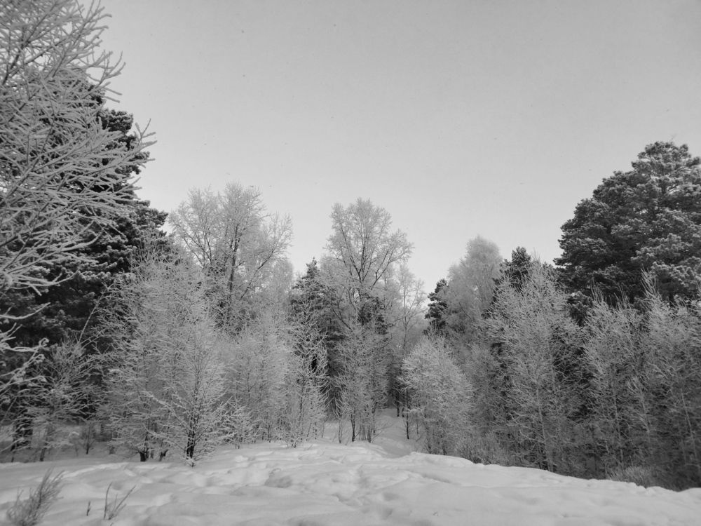 Photograph by Екатерина Лакутина