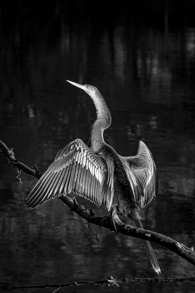 Photograph by Bruno Motta