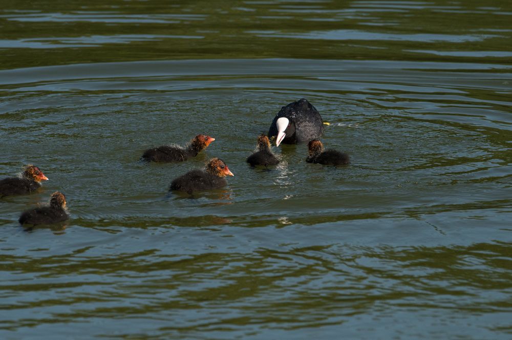 Photograph by Римма Волченко