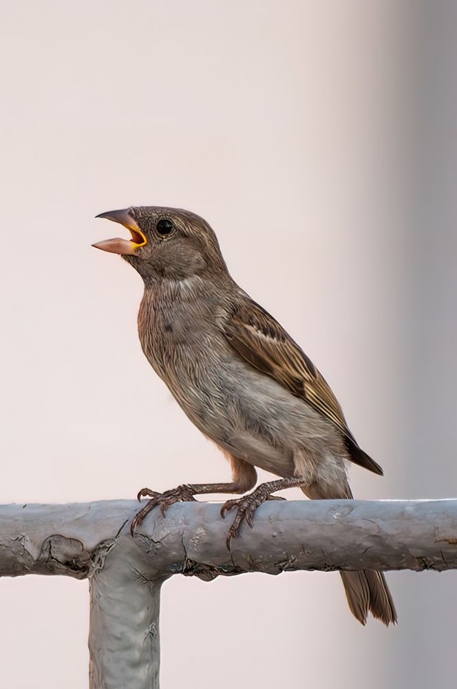 Photograph by Фатыхов Динар