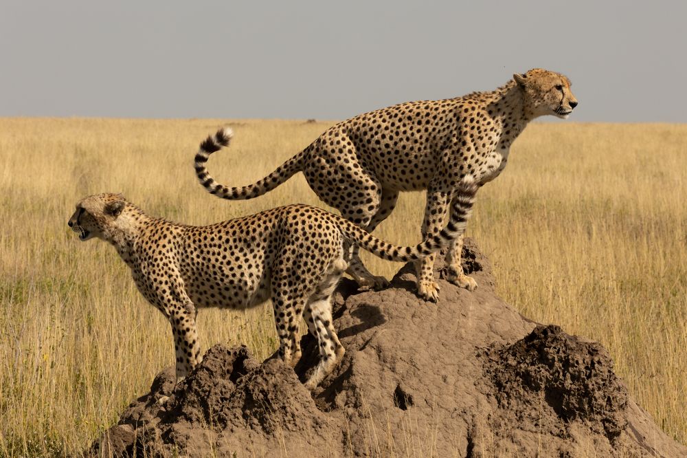 Photograph by Raquel Barao