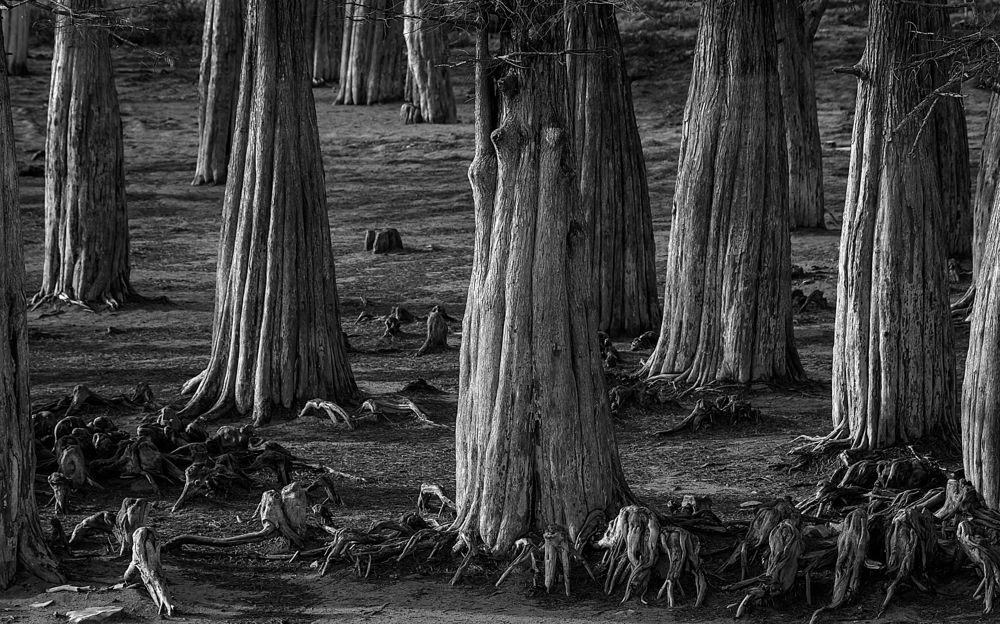 Photograph by Валерий