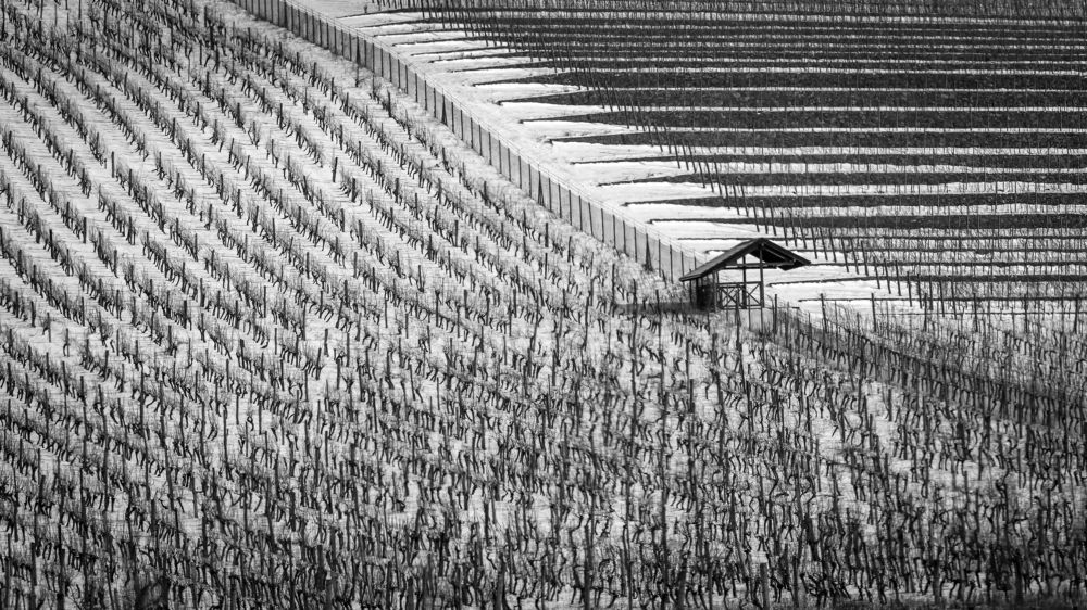 Photograph by Валерий