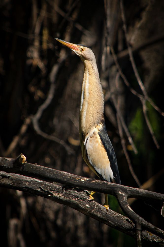 Photograph by Оксана Маховская