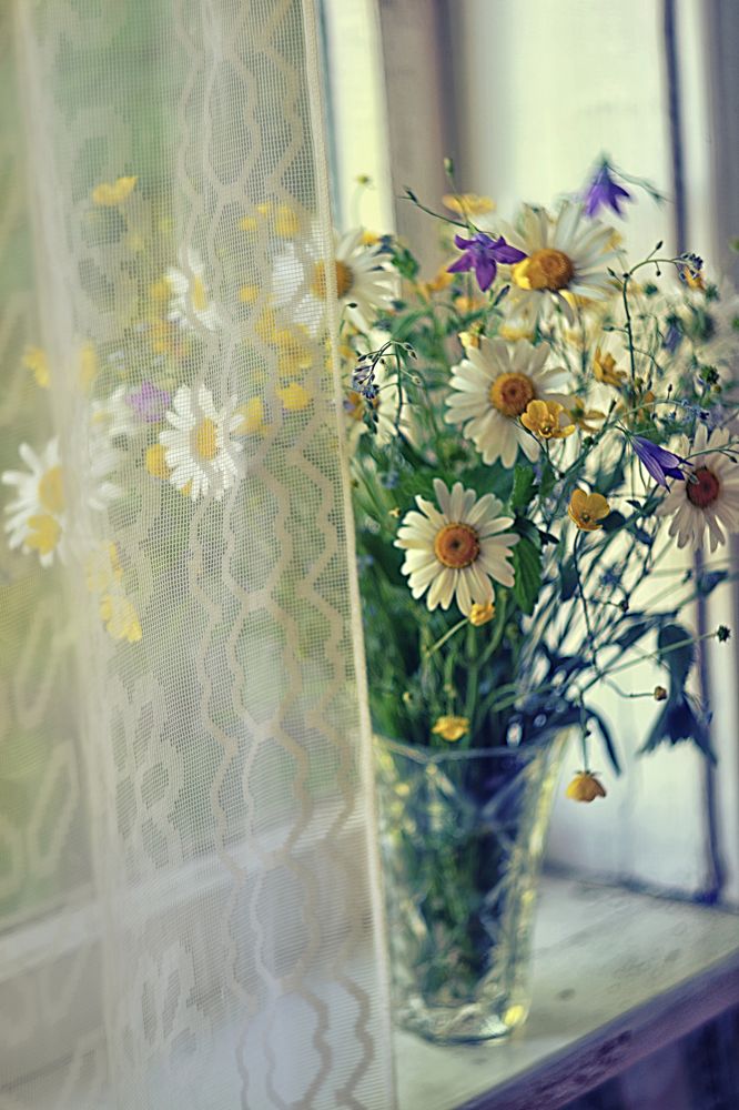 Photograph by Александра Коновалова