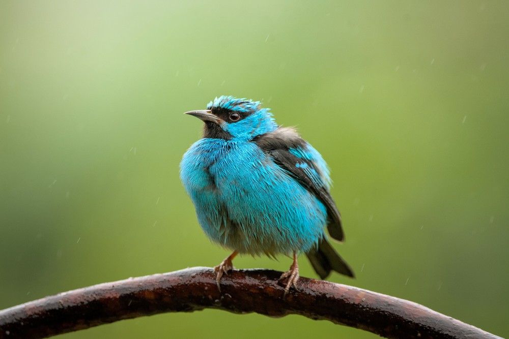 Photograph by Eduardo Bom