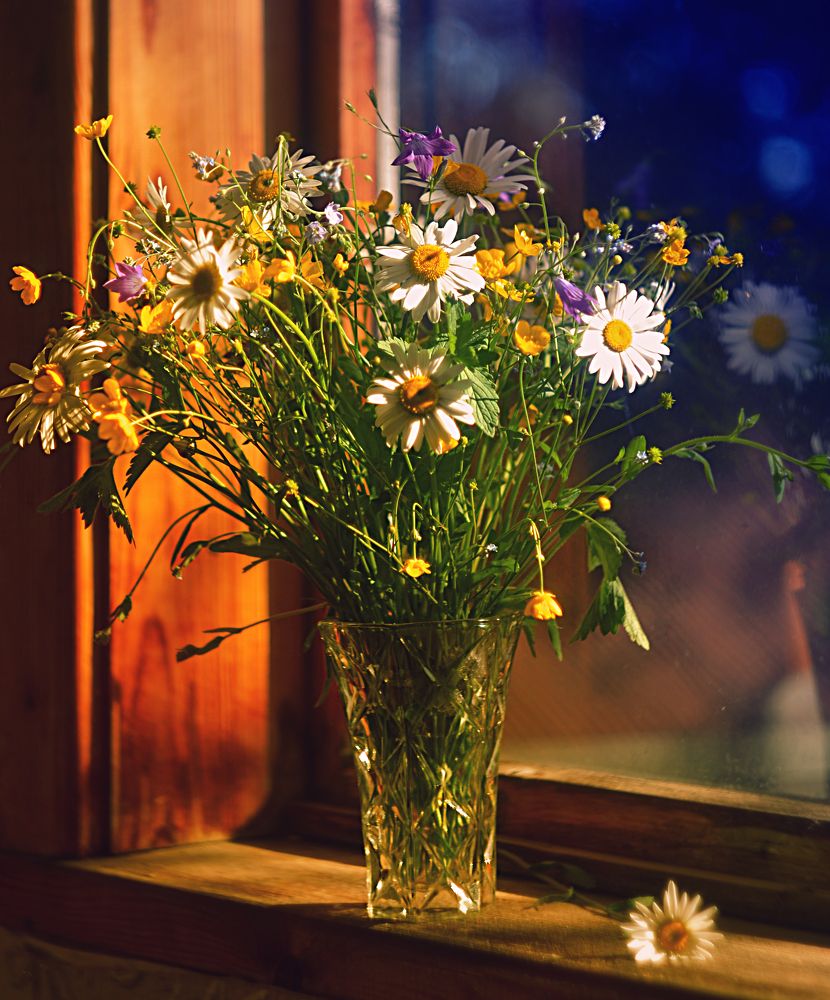 Photograph by Александра Коновалова