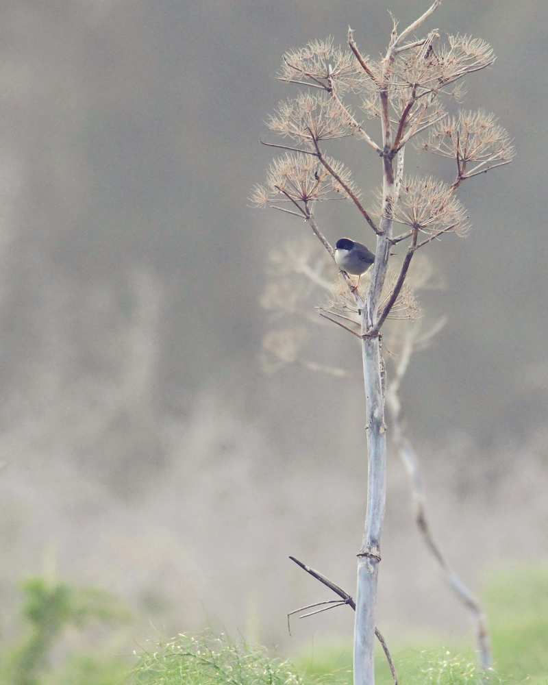 Photograph by Charis Christoforou