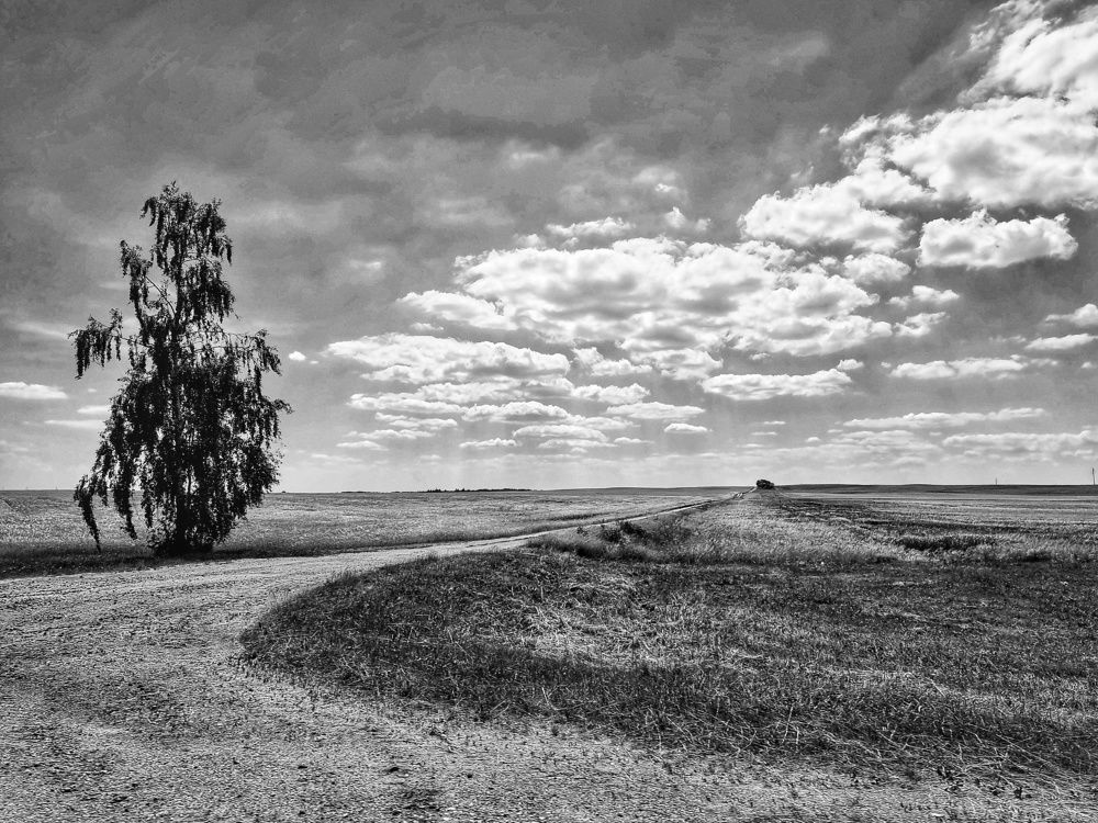 Фотография автора Дана Богинская