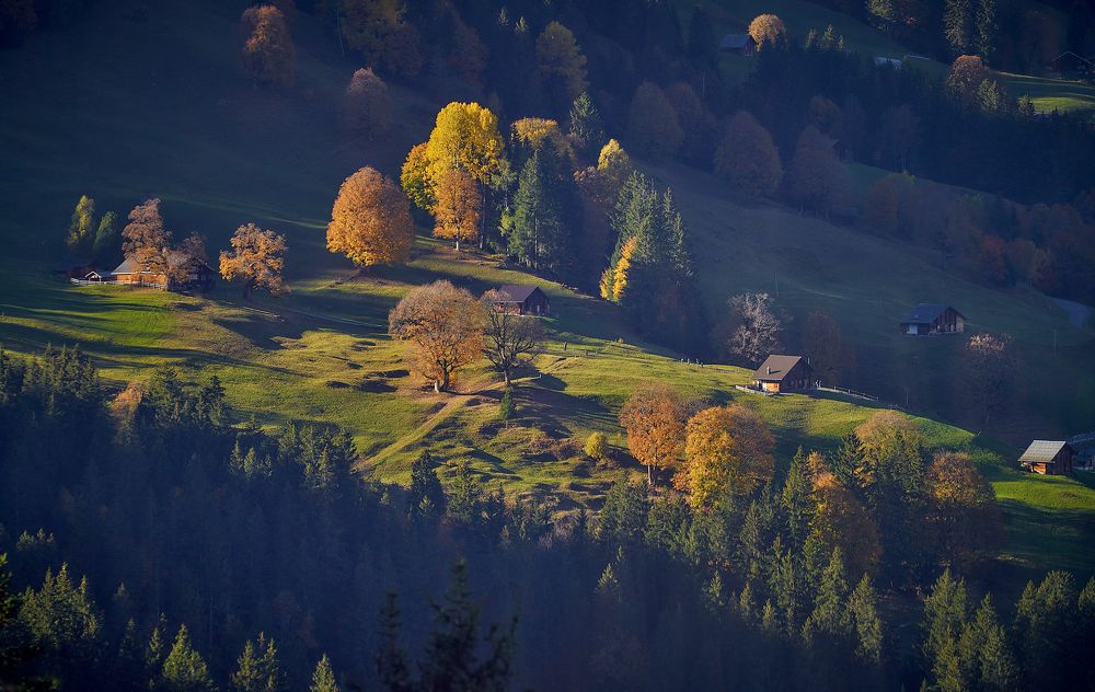 Photograph by Boris Bekelman