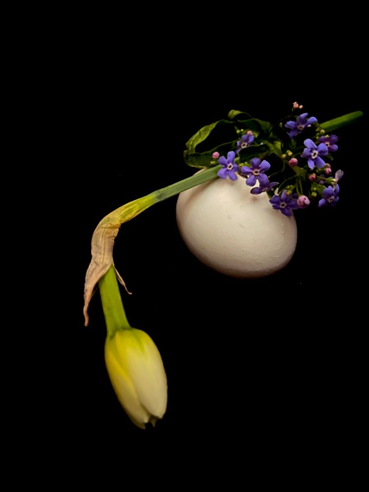 Photograph by Марина Толстопятова