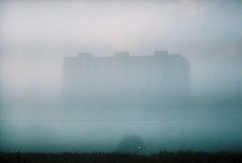Photograph by Дарья