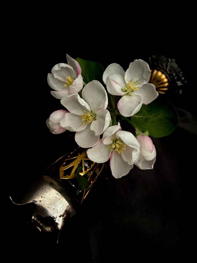 Photograph by Марина Толстопятова