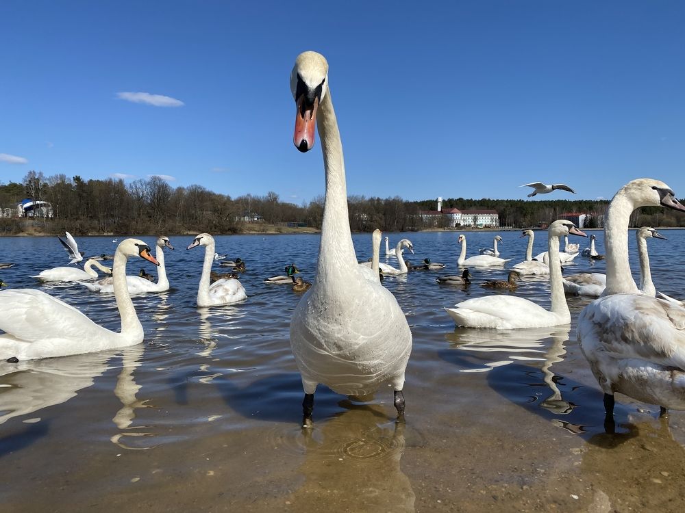 Photograph by Екатерина Бердутина