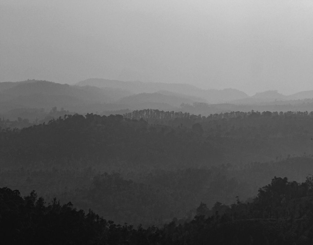 Photograph by Mathew Nishanth A