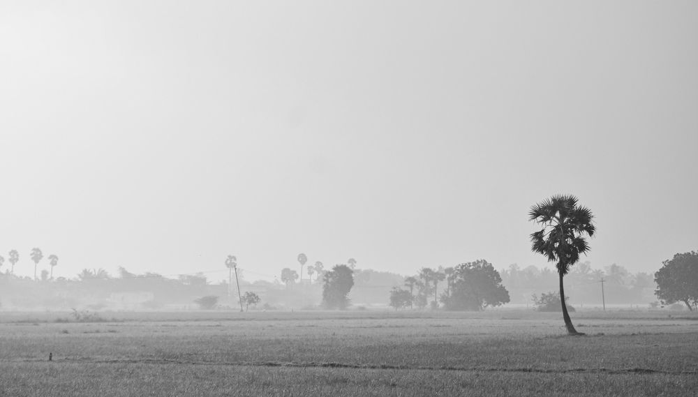 Photograph by Mathew Nishanth A