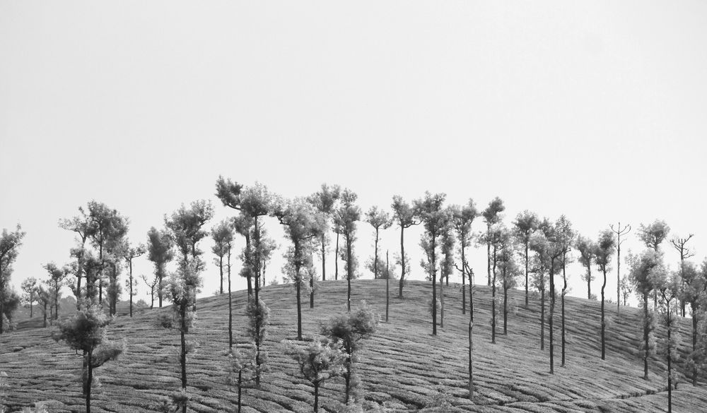 Photograph by Mathew Nishanth A