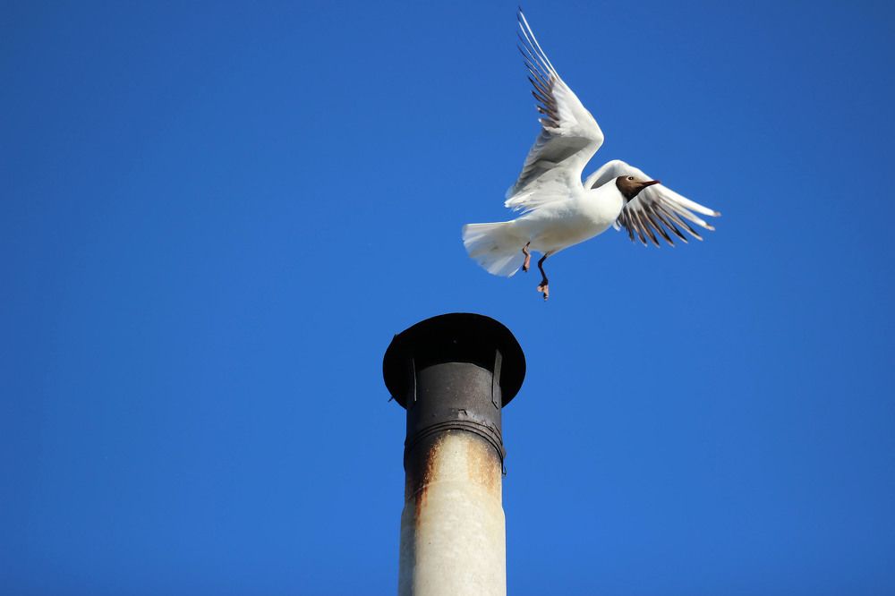 Photograph by Любовь Саханова