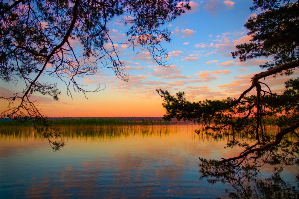 Утро на озере