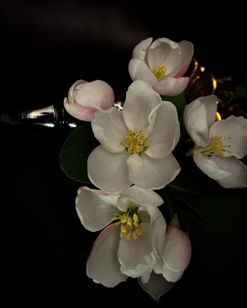 Photograph by Марина Толстопятова