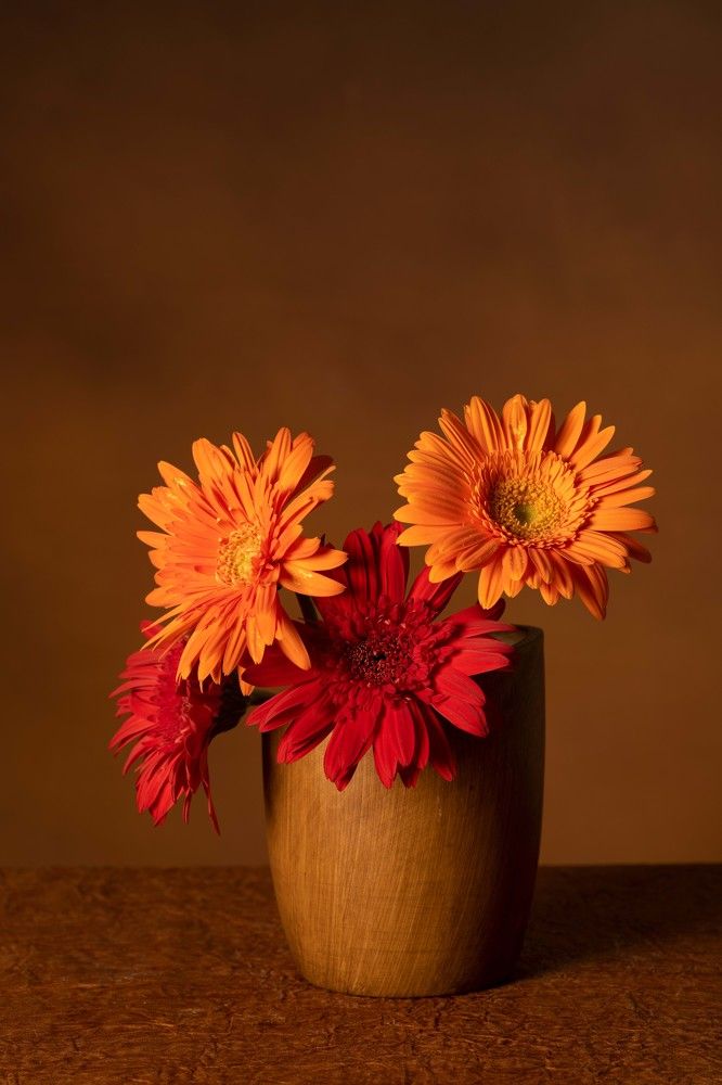 Photograph by R S Gokul kishan K