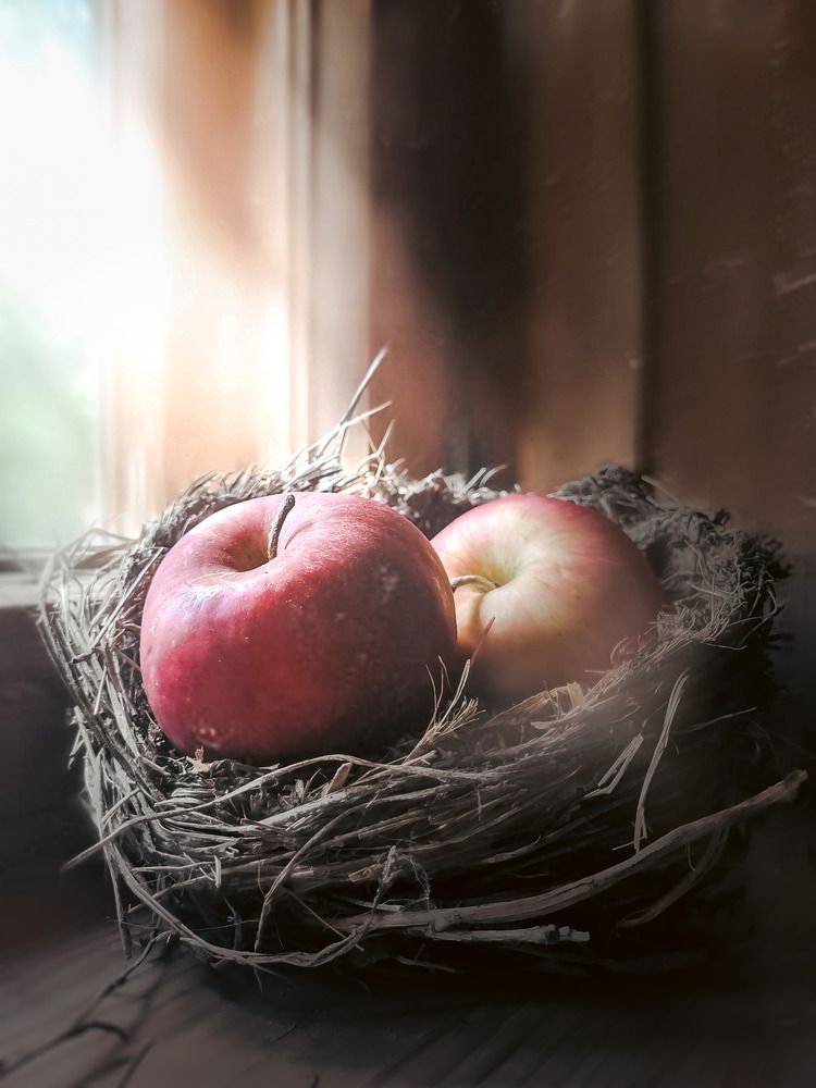 Витамины вылупились