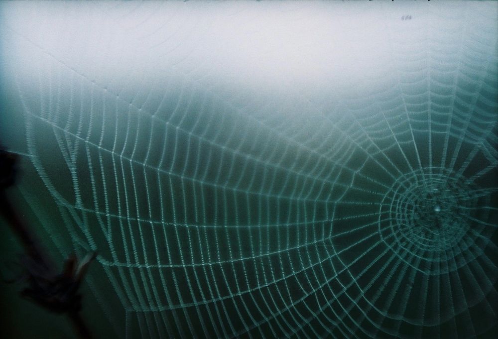 Photograph by Дарья