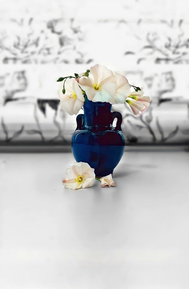 Photograph by Narjes Al_Bayat (Narjes Alzahraa)