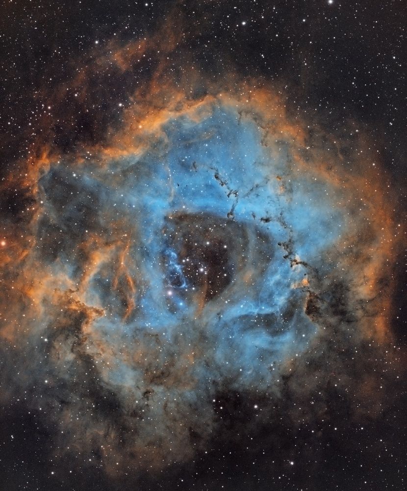 The Rosette Nebula