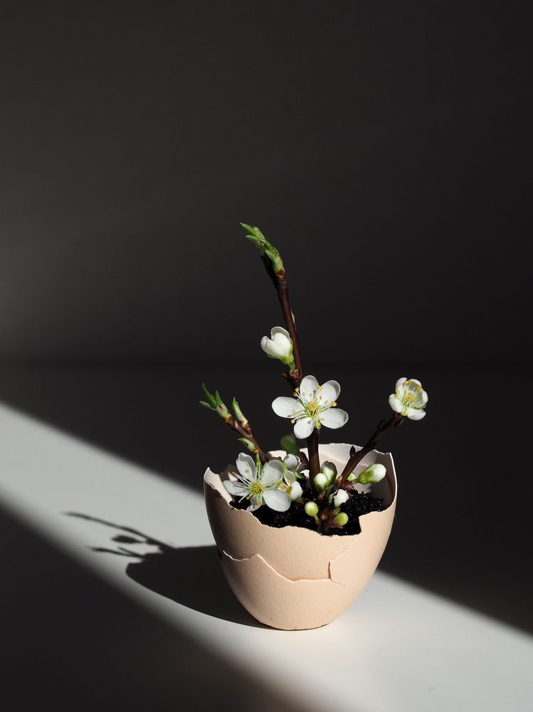 Photograph by Екатерина Бердутина