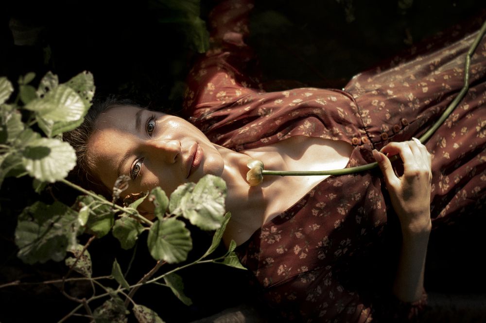 Photo #7768004