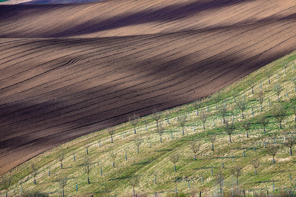 Photograph by Евгения Чех